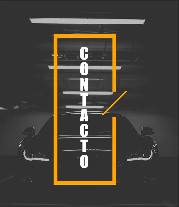 Consultores de seguridad