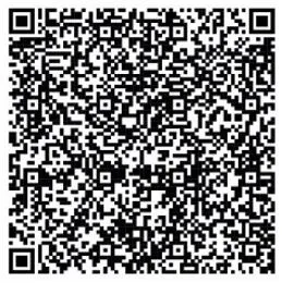 Consultores de seguridad